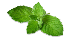 catering warszawa katering imprezy okolicznościowe